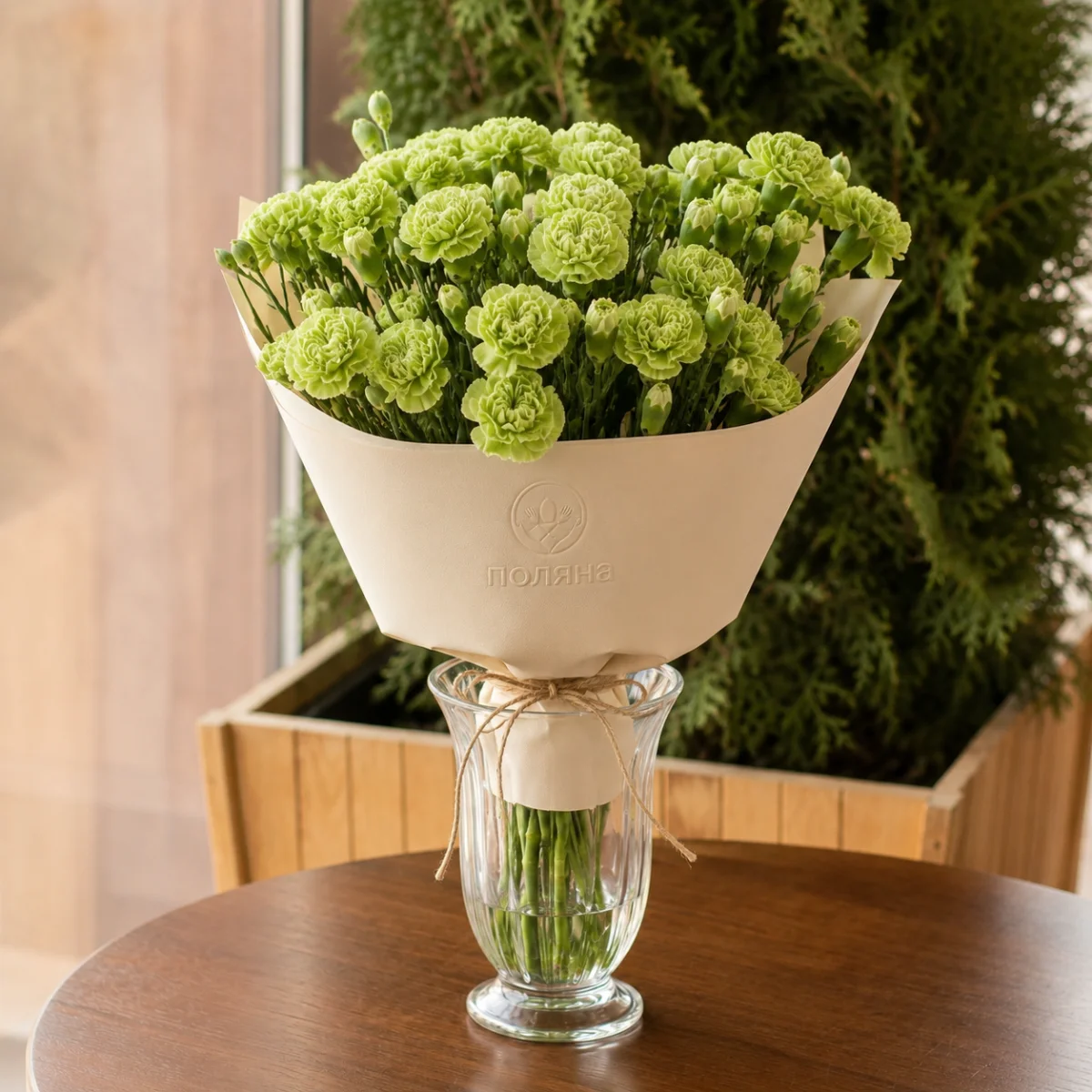 Гвоздика Г мультифлора Green bol