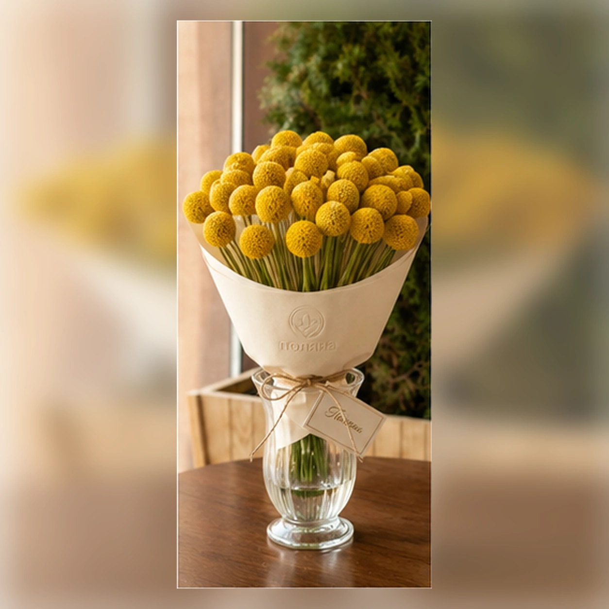 Краспедия Yellow