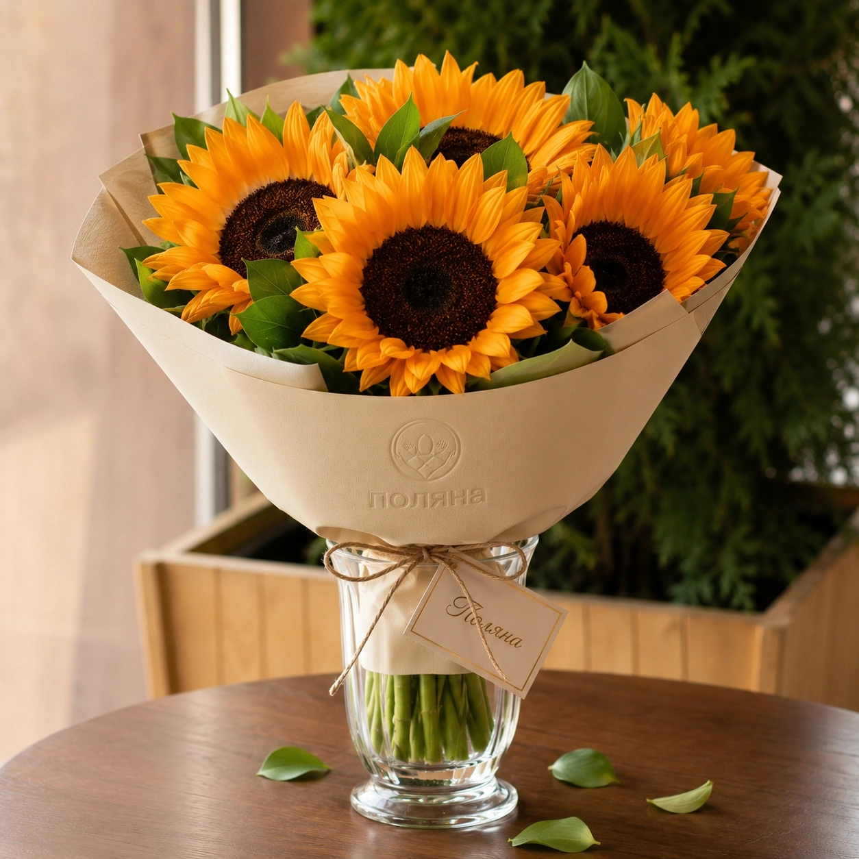 Подсолнух Helianthus orange large