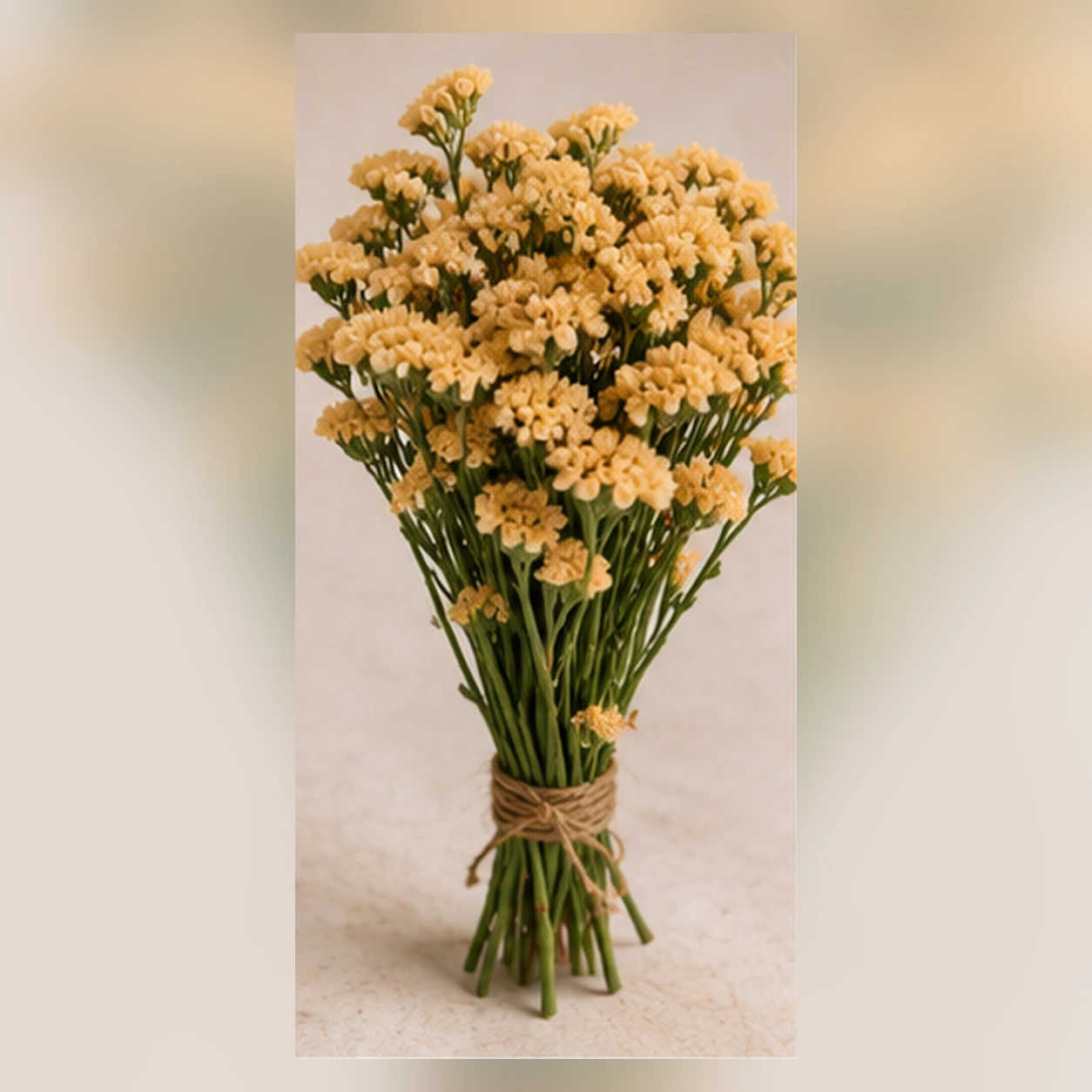 Статица желтая Honey apricot
