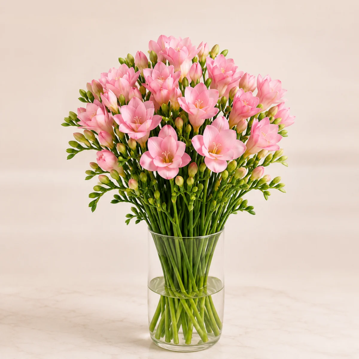 Фрезия розовая Rose
